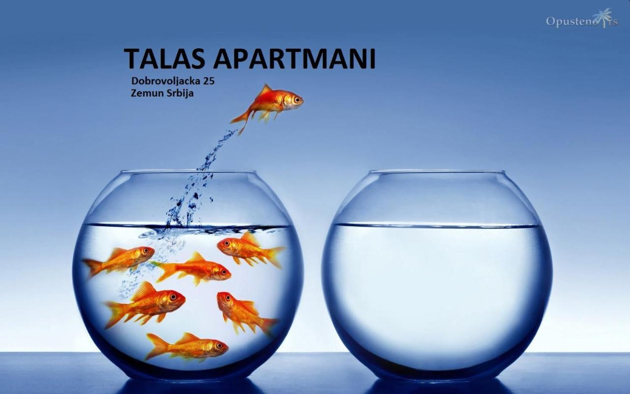 Talas apartmani Belgrade Luaran gambar